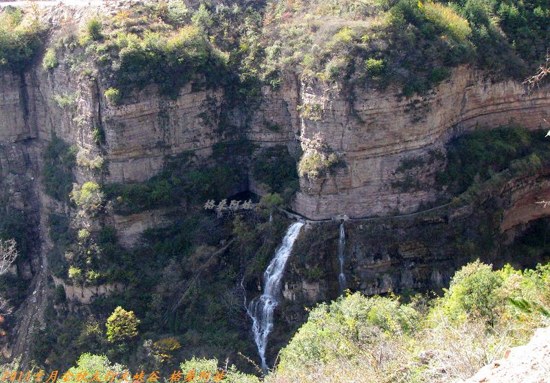 201110ʯ幵Ҷ 462.jpg