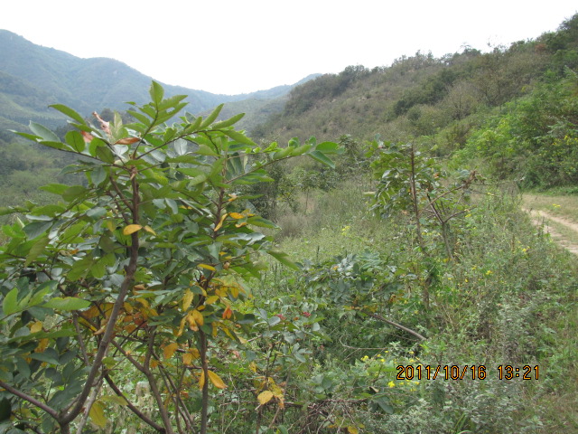 img_1988.jpg