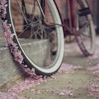 5a041783h775b6ac5c2ff&690.jpg