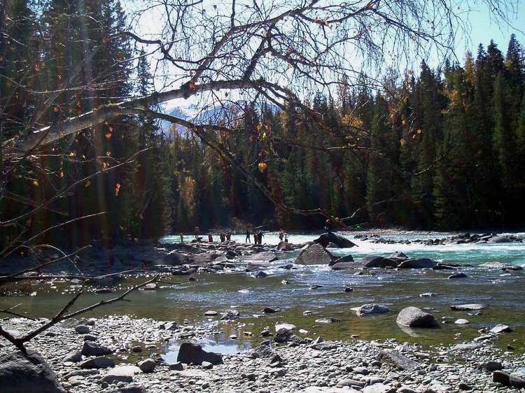 p1016905.jpg