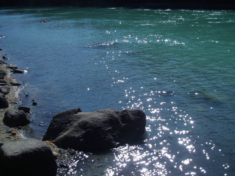 p1016942.jpg