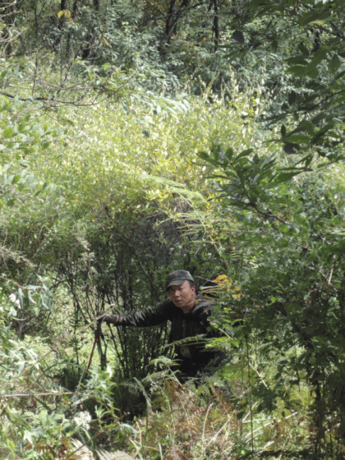 dsc06855.gif