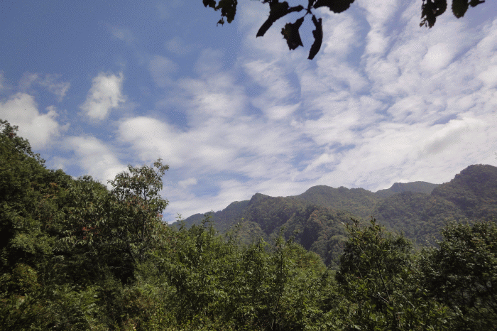 dsc06858.gif