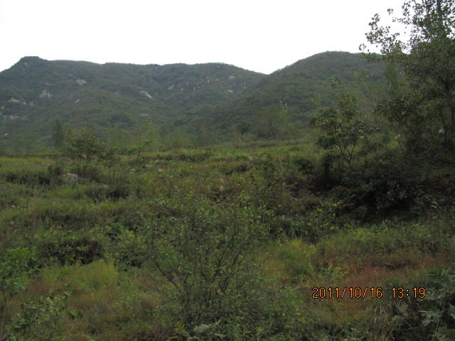 ca66c966.jpg