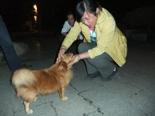 dscf6302.jpg