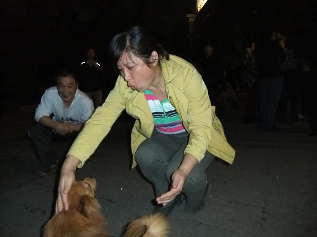 dscf6301.jpg