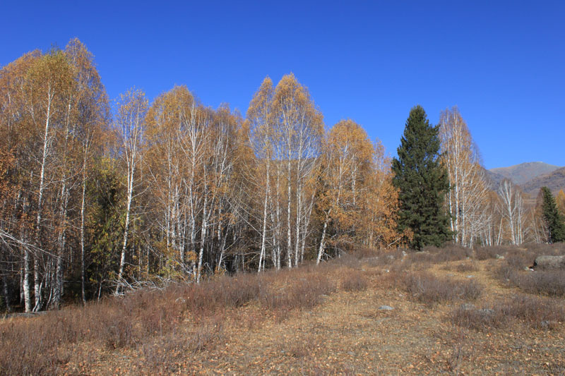 2011.9.22 328.jpg