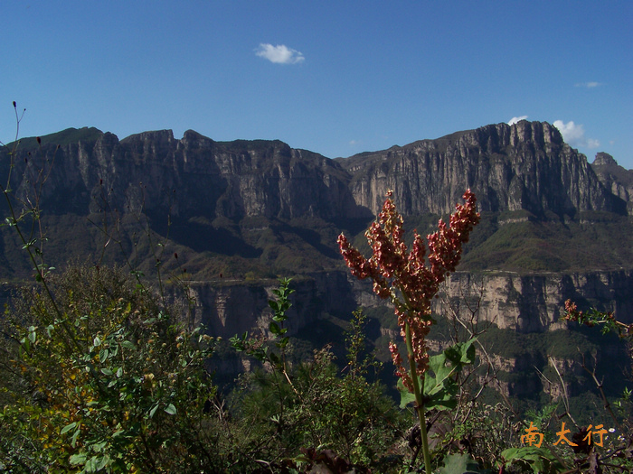 20111014f³ֻ (28).jpg
