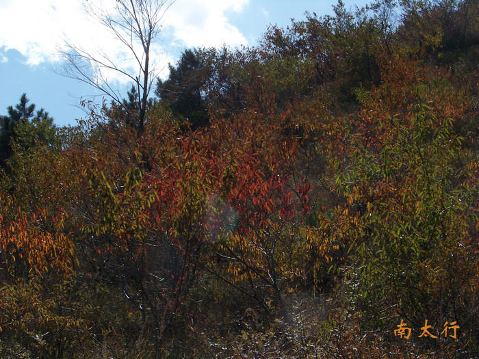 20111014h³̫² (14).jpg