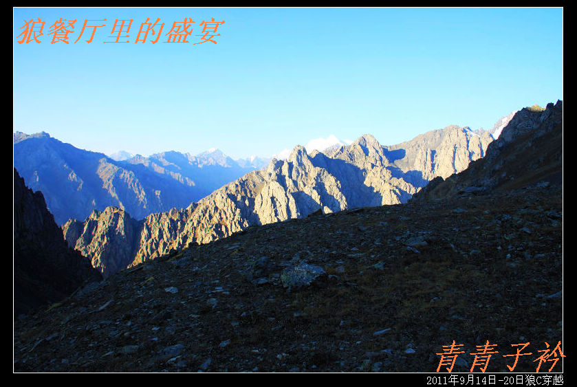 img_8626.jpg
