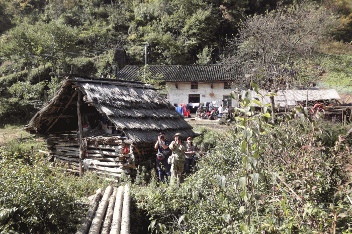 dsc06877.gif