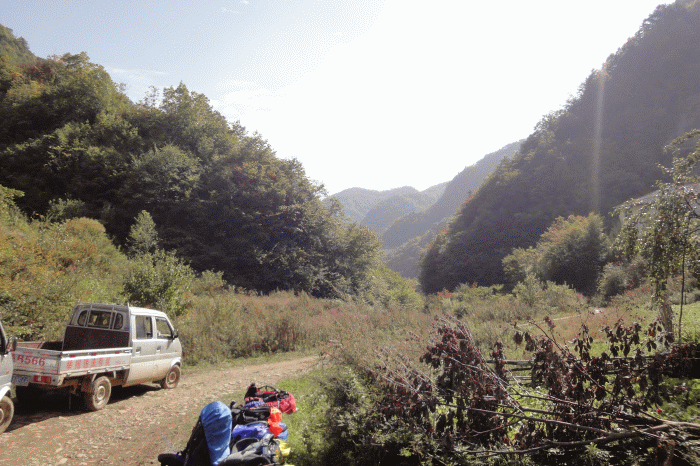 dsc06859.gif