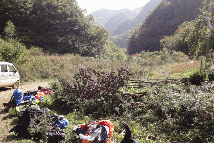 dsc06863.gif
