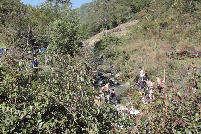 dsc06868.gif