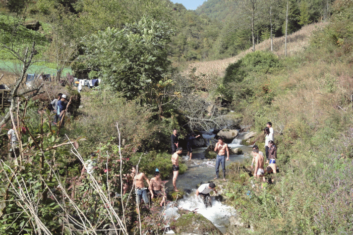 dsc06870.gif
