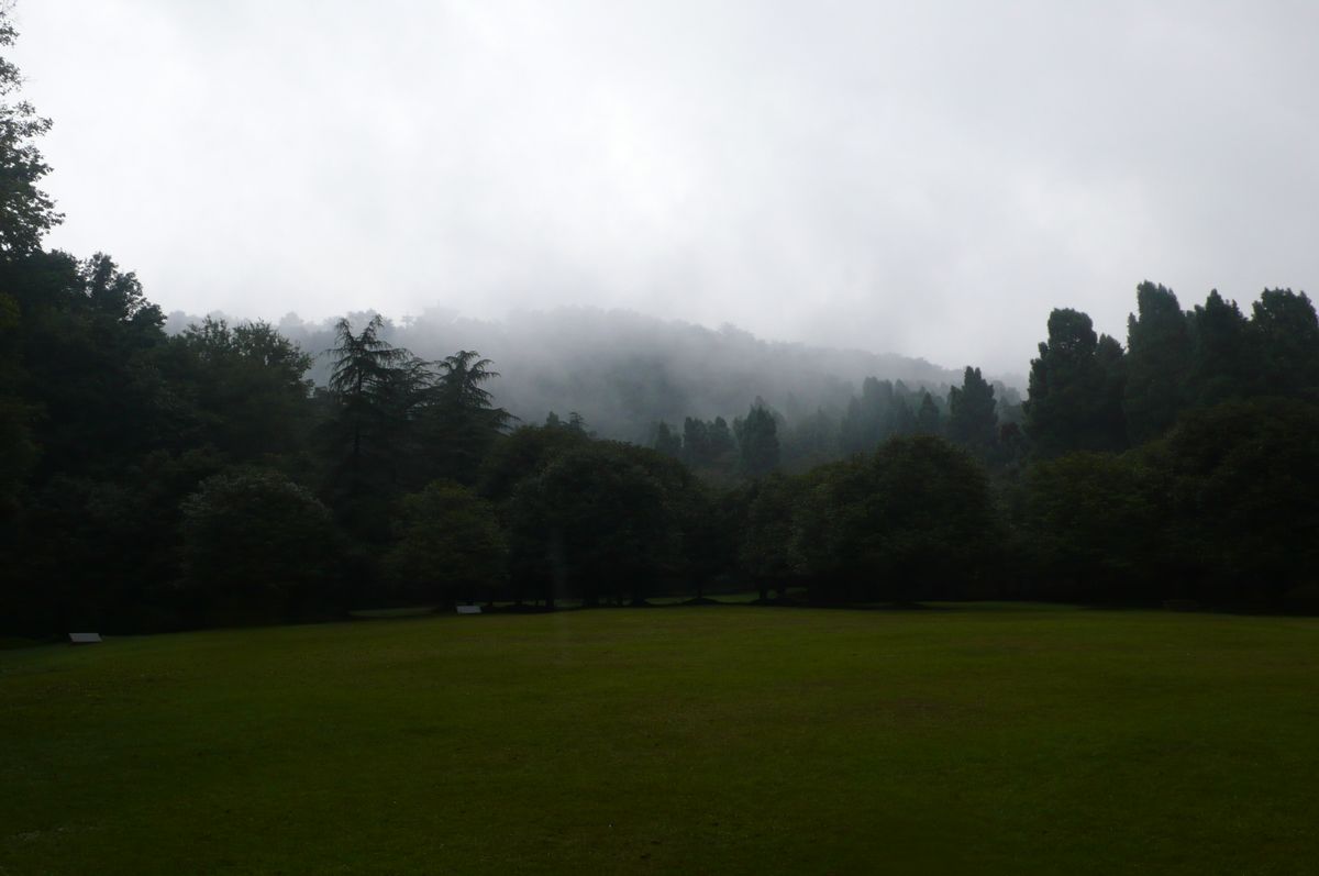 l1110836.jpg