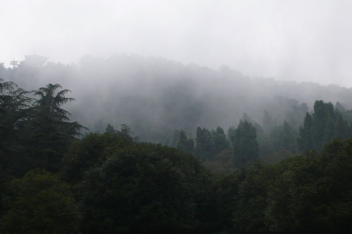 l1110837.jpg