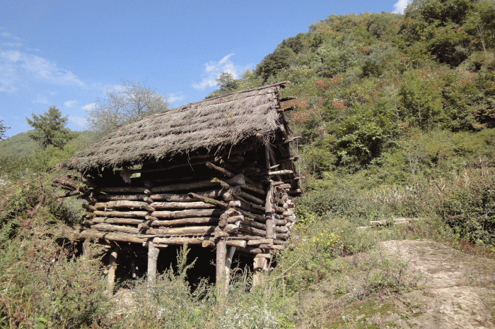 dsc06866.gif