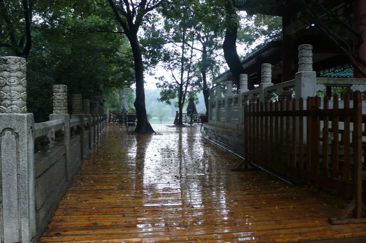 l1110835.jpg
