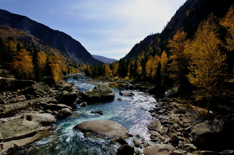 ½2 (1239).jpg