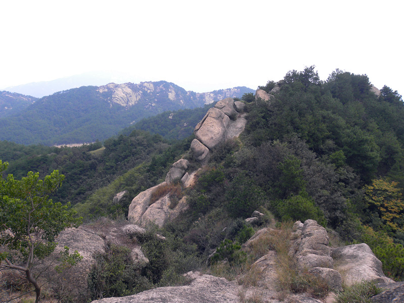 dscn4261_.jpg