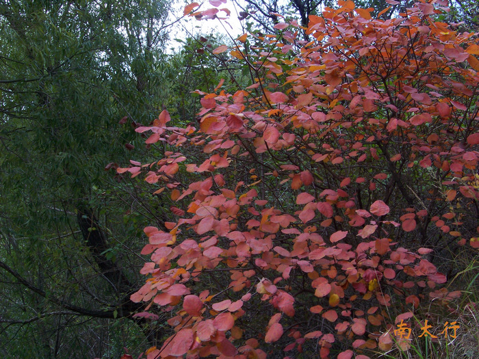 20111014j̫ (37).jpg