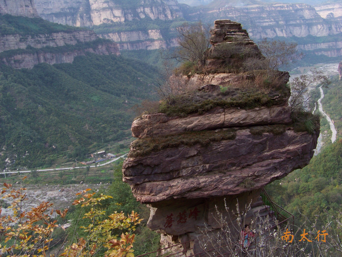 20111014lɽ羰̨ɽ (19)Ģ.jpg