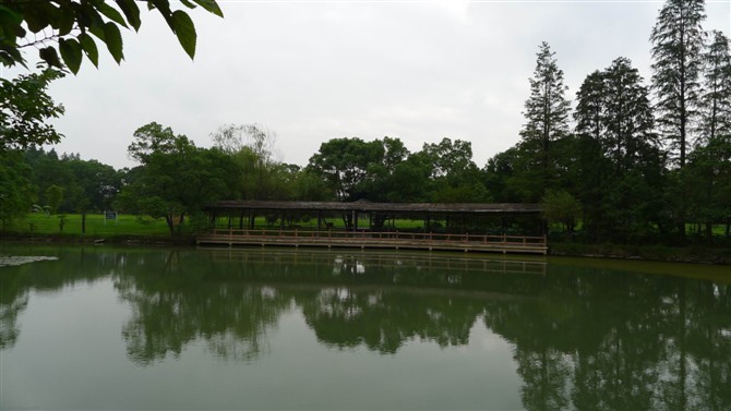 δ111.jpg