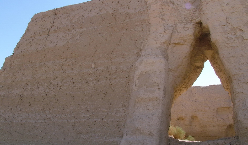 zz25.jpg