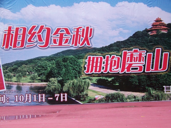100_5782.jpg