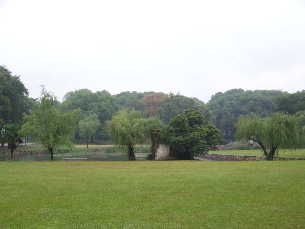 100_5785.jpg