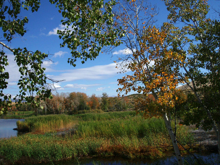 p1016266.jpg
