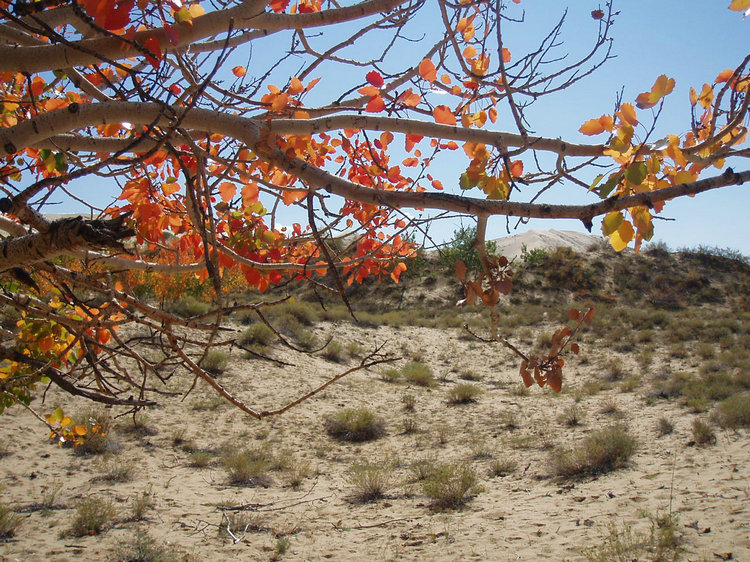 p9256316.jpg
