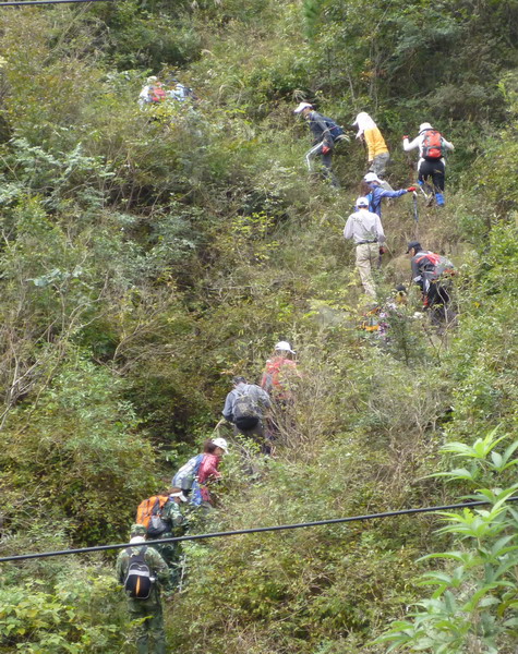 p1010437.jpg