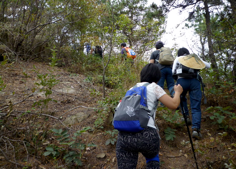 p1010467.jpg
