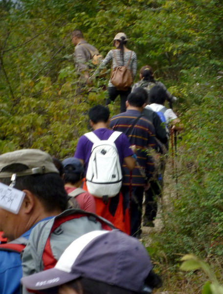 p1010538.jpg