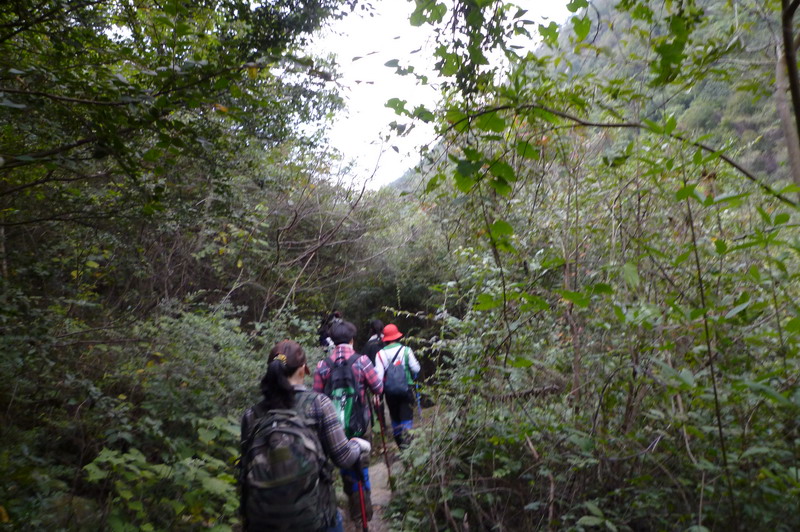 p1010534.jpg