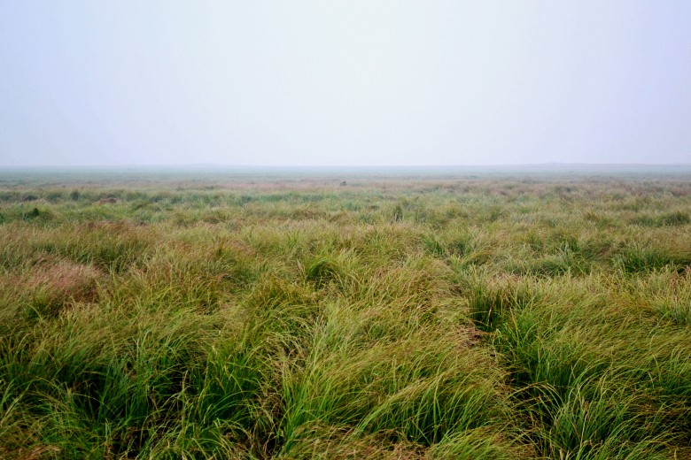  360_conew1.jpg