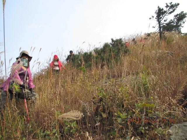 http_imgload0012.jpg