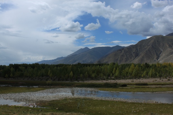2011825916λ֮- 823.jpg