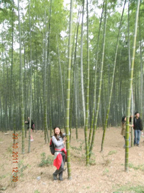 dscn9216.jpg