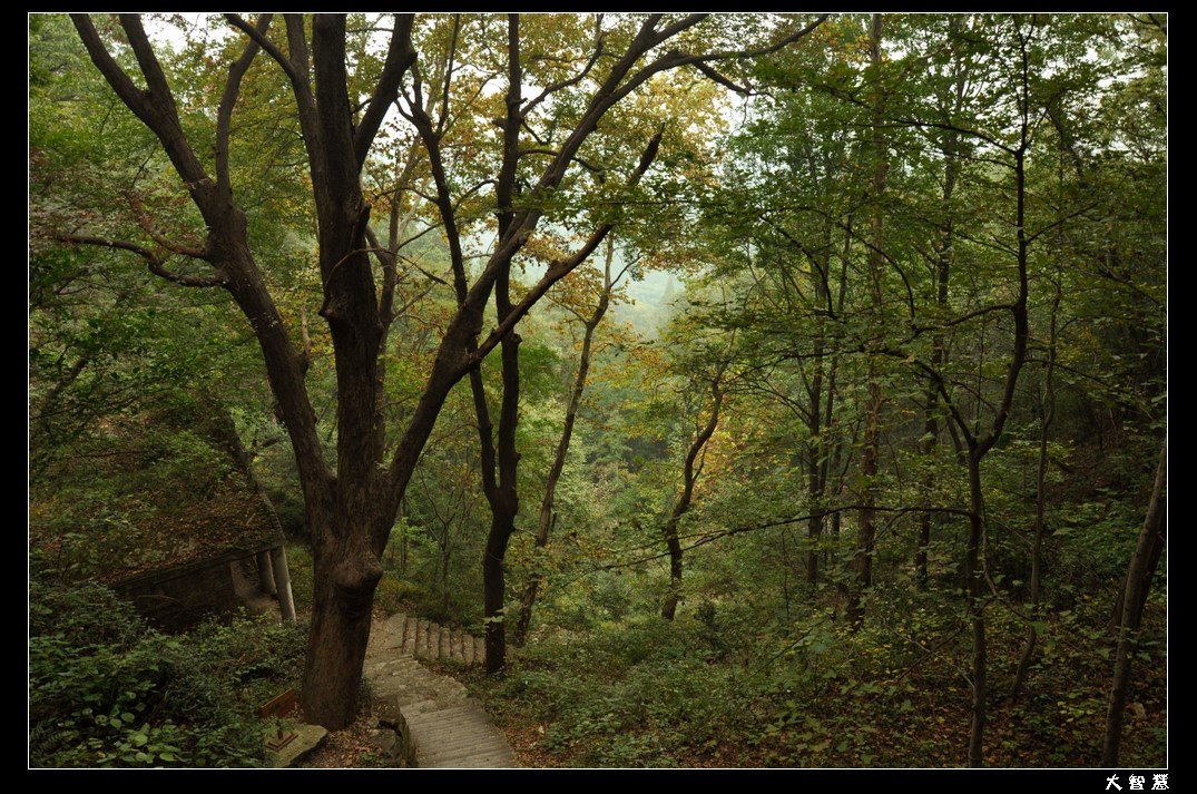 dsc_0213ѹ.jpg