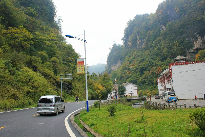 img_2945.jpg