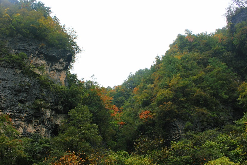 img_2946.jpg