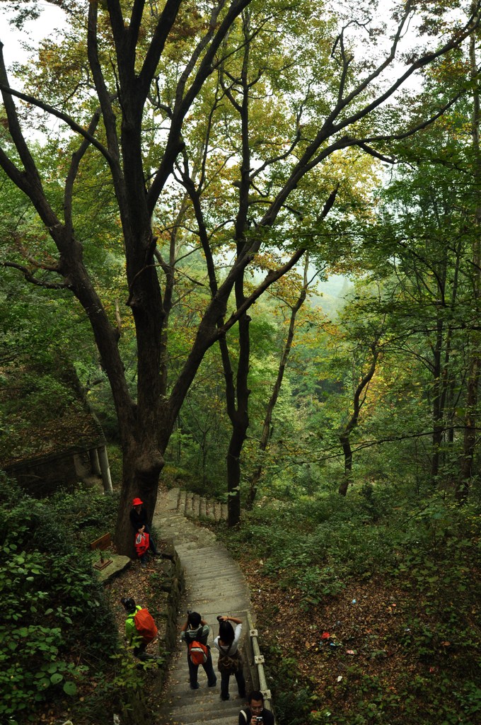 dsc_0217ѹ.jpg