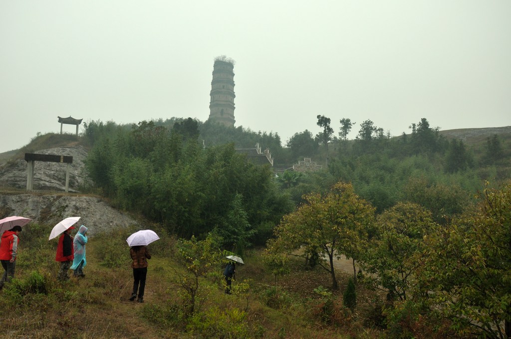 dsc_0247ѹ.jpg