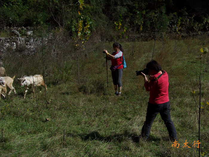 20111015aݸ߼̨ (348).jpg