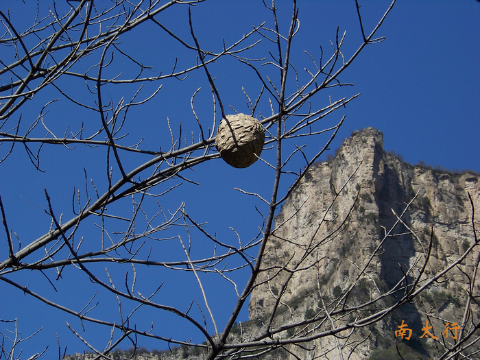 20111015mݸ߼̶̨ (24).jpg
