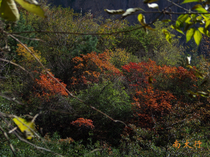 20111015mݸ߼̶̨ (30).jpg
