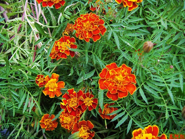 s73f0648.jpg